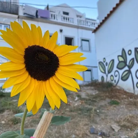 Appartamento The New Terrace *